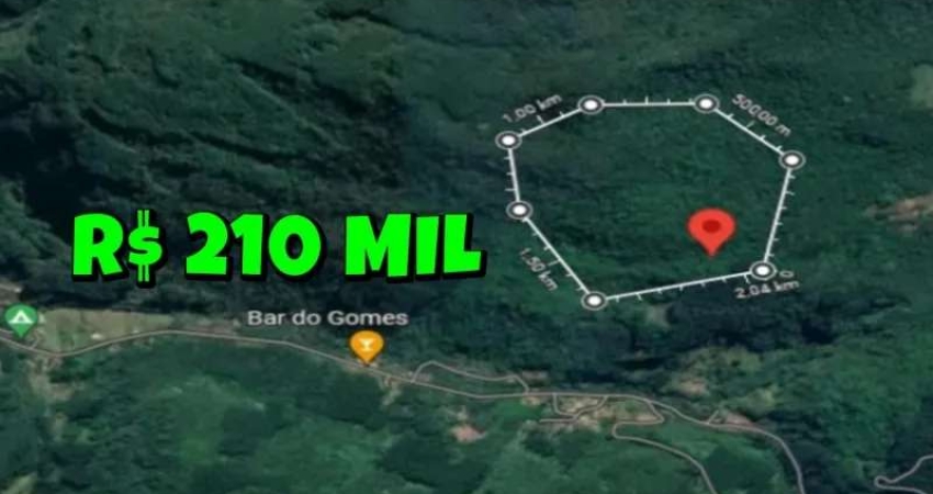 [117043] SÍTIO COM 30 HECTARES ESCRITURADAS, VERTENTE, 50 ARAUCÁRIAS, MATA NATIVA, ESTRADA