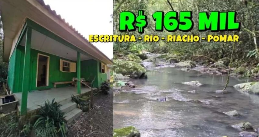 [535]CHACARA EM SANTO ANTÔNIO DA PATRULHA  2,6HA MATRÍCULA INDIVIDUAL CASA POMAR RIACHO FIBRA ÓTICA
