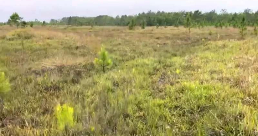 [477]  FAZENDA EM SÃO SIMÃO, MOSTARDAS RS 400HA, ESCRITURADA, COM LAGOA, ACESSO AO MAR