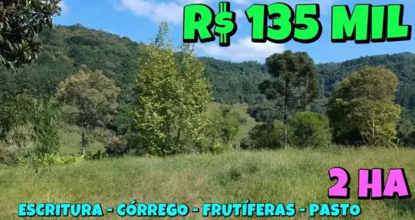 [848] CHÁCARA ESCRITURADA EM TAQUARA, AÇOITA CAVALO, 2 HA CÓRREGO, PÍNUS, FRUTÍFERAS