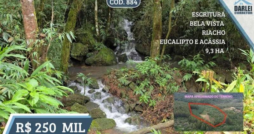 [884] CHÁCARA EM ROLANTE, 9,3 HA, ESCRITURA, ROÇA, RIACHO, MATA NATIVA