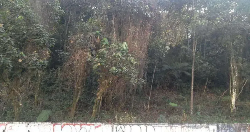 Terreno à venda na Rua das Camélias, Parque Assunção, Taboão da Serra