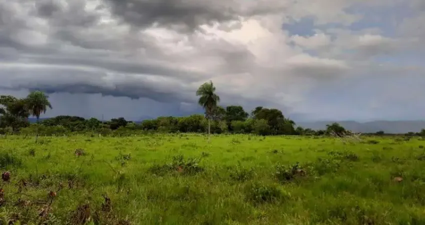 Fazenda com 1 sala à venda na Br 364, 47, Zona Rural, Cuiabá