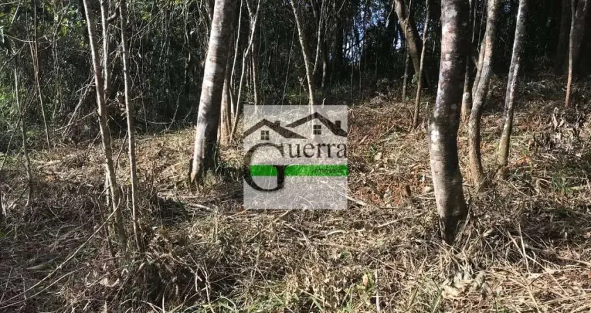 Terreno em condomínio fechado à venda na Rua Nicolau Antonio Brilha, Centro, Mairiporã