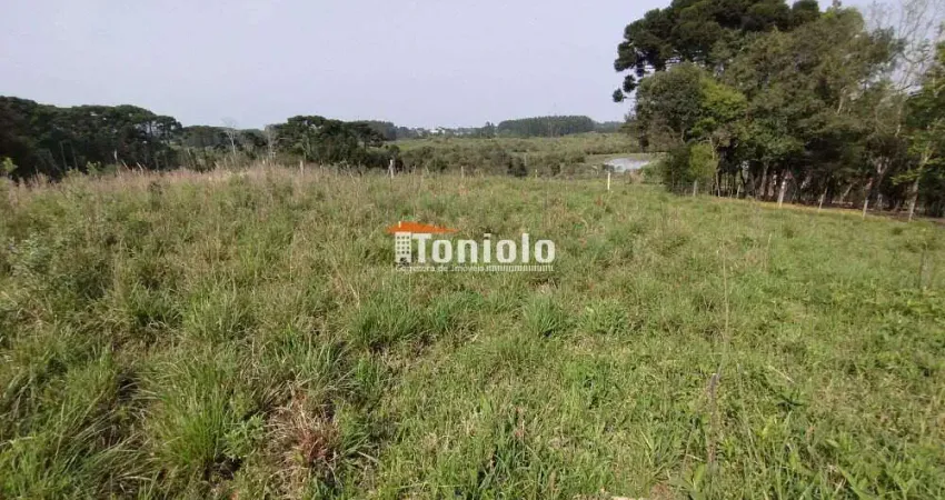 Chácara à venda, Borda do Campo - São José dos Pinhais/PR