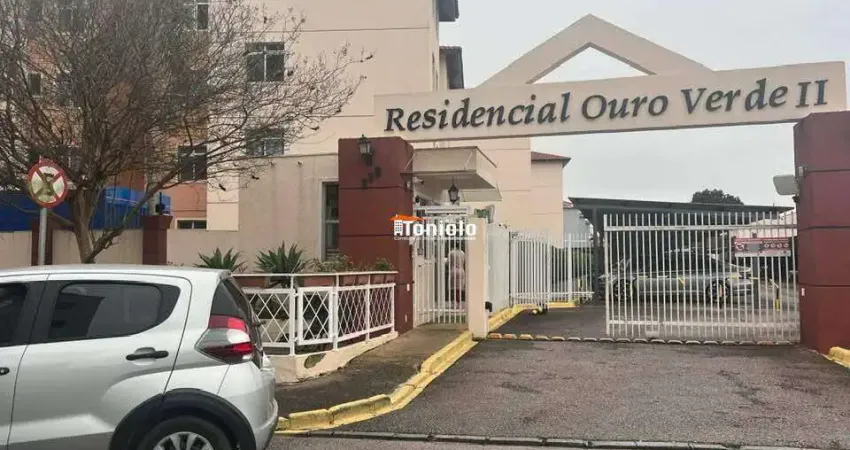 Apartamento à venda, 3 quartos, 1 vaga, Pedro Moro - São José dos Pinhais/PR