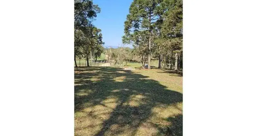 Chácara / sítio à venda na Rua Alexandre Kreoniz, Campestre da Faxina, São José dos Pinhais