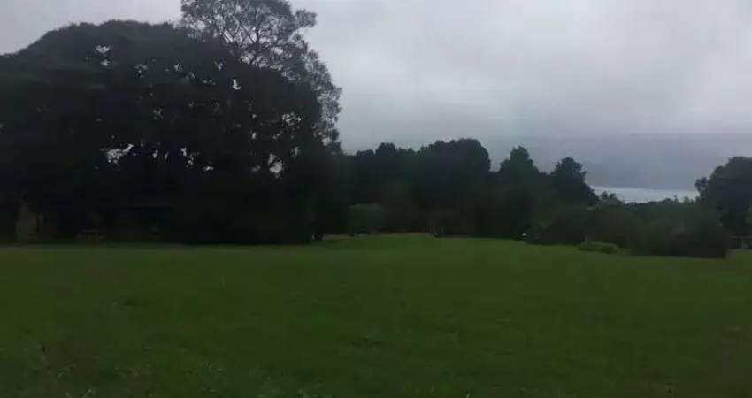 Terreno comercial à venda na Rua Pedro Valaski, 1805, Jurema, São José dos Pinhais