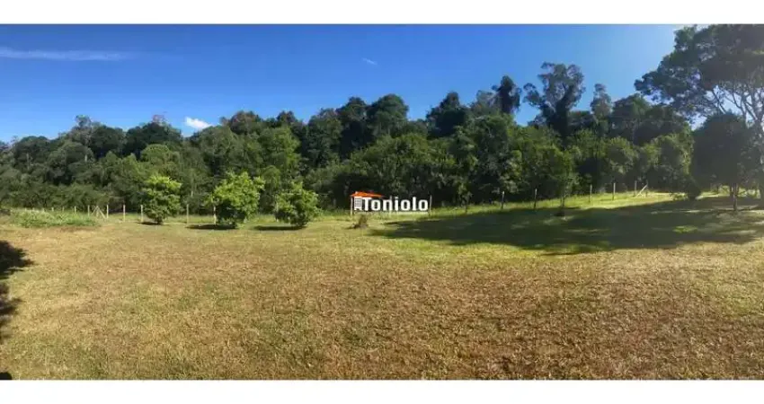 Chácara / sítio à venda na Rua Campestre, Colônia Murici, São José dos Pinhais