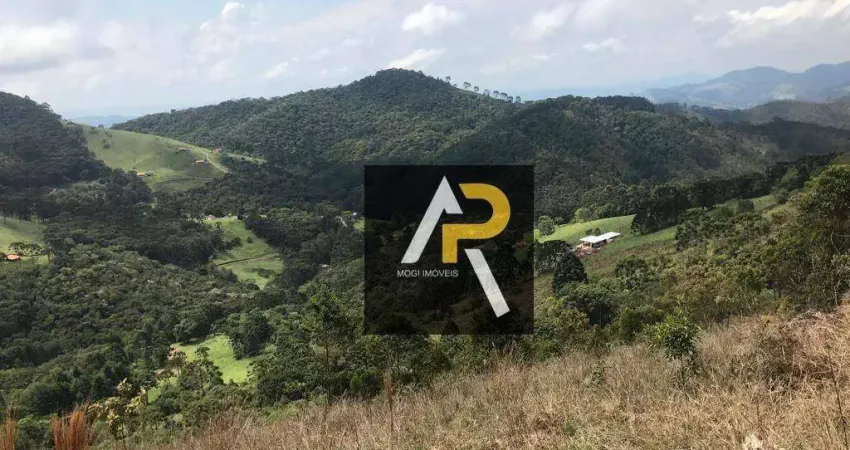 Area Rural a venda 235 mil m² no Sertão do Cantagalo em Gonçalves / MG