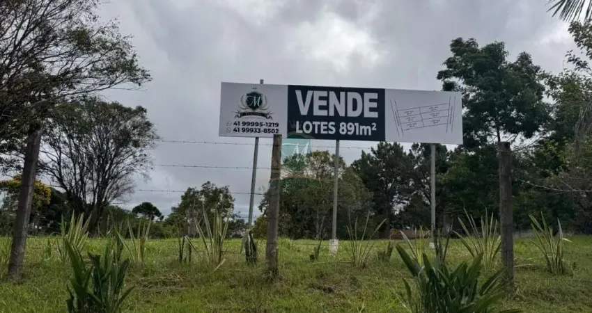Lote Exclusivo: 924,80m² na Valorizada Estrada Ecológica, com vista para o Alphaville Graciosa