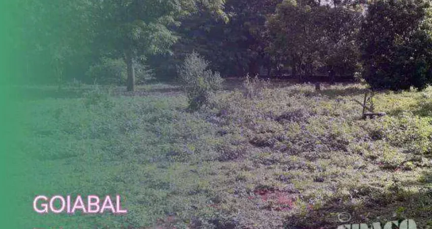 Terreno à venda, 1000 m² por R$ 140.000,00 - Goiabal - Pindamonhangaba/SP