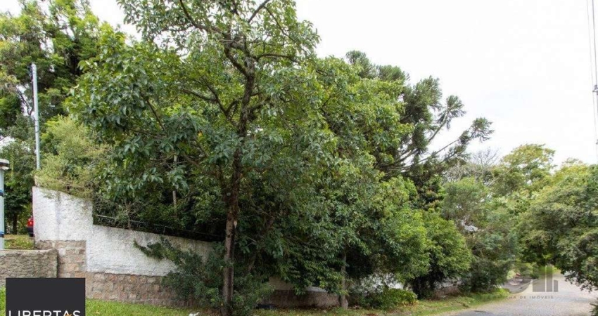 Terreno, 363.78 m², em Vila Conceição, em região elevada e livre de inundações