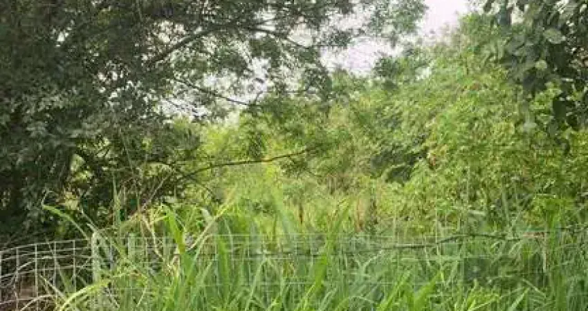 Terreno à venda na Avenida Heitor Vieira, 1550, Belém Novo, Porto Alegre