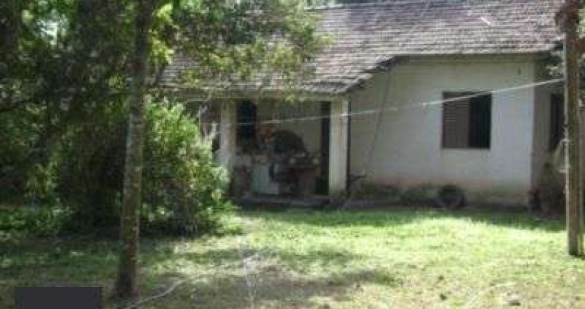 Sítio para Venda com 5000m² e 3 dormitórios no bairro Lami