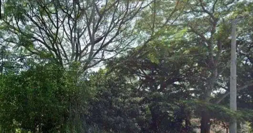 Terreno na av pinheiro borda com vista com 564n²