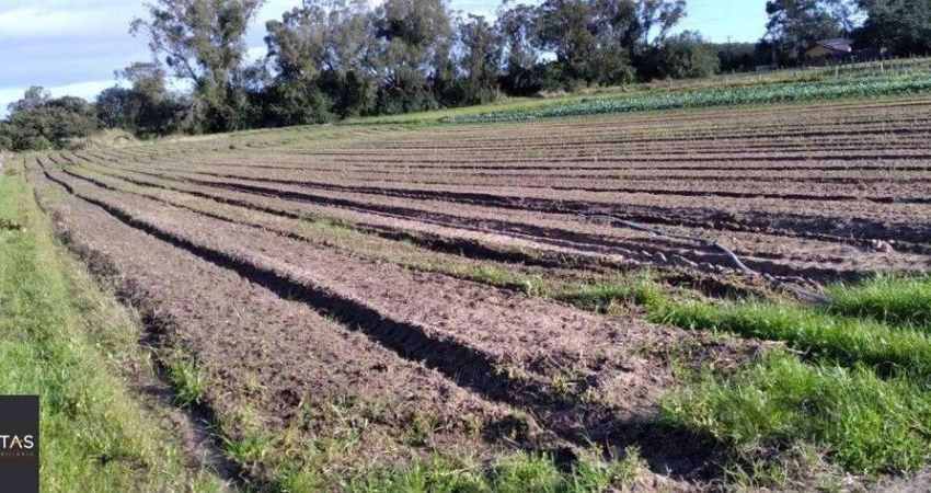 Terreno à venda na Avenida do Lami, 2676, Lageado, Porto Alegre