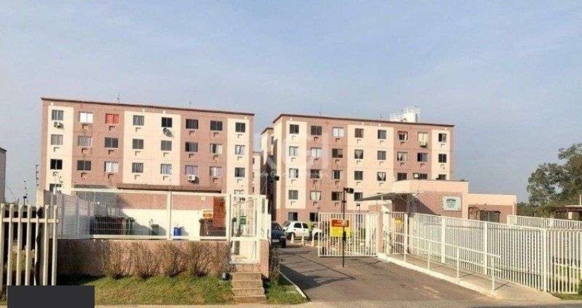 Apartamento no bairro - Hípica - 2 dormitórios