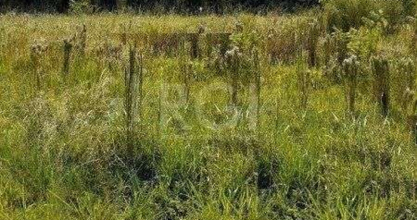 Terreno para Venda - 0m², 0 dormitórios, Hípica
