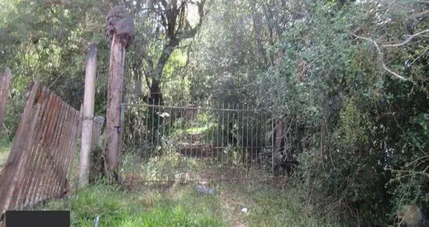 Área 53851,44 m²  no Beco da Paixão Bairro Lomba do Pinheiro
