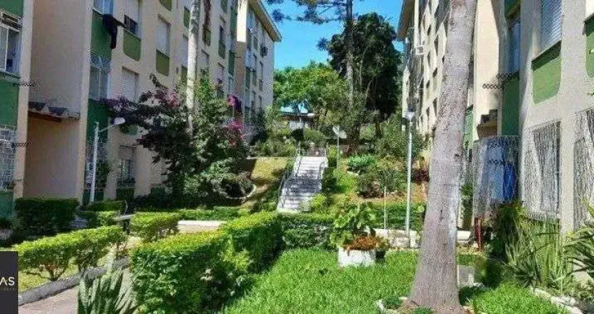 Apartamento para Venda - 59.89m², 3 dormitórios, 1 vaga - Vila Nova