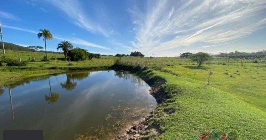 Terreno em Lami