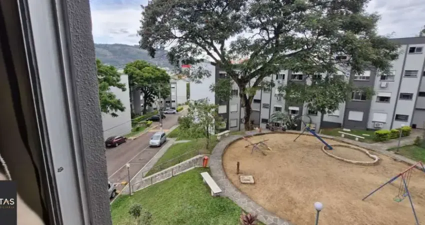 Lindo apartamento 1dormitório na ary tarrago proximo a protasio alves