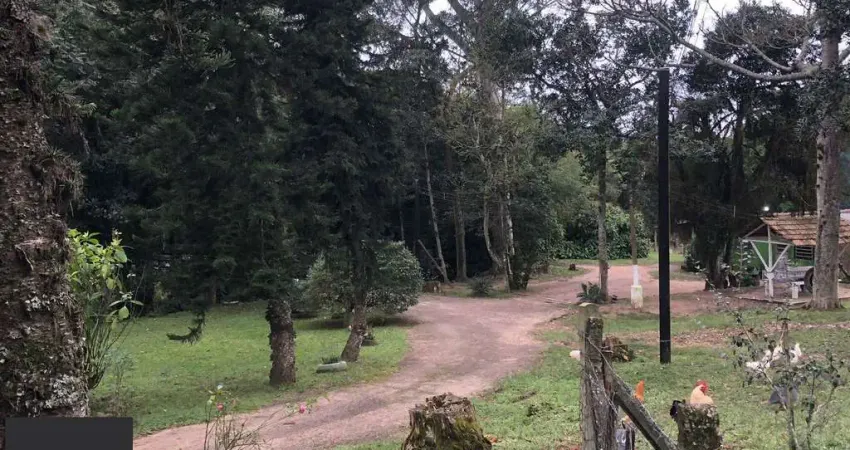 Chácara / sítio com 1 quarto à venda na Estrada Costa Gama, 4022, Belém Velho, Porto Alegre