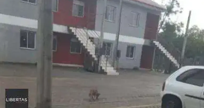 Apartamento com 2 quartos à venda na Estrada Barro Vermelho, 201, Restinga, Porto Alegre