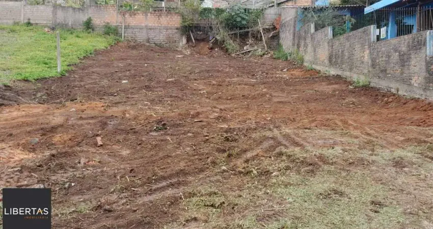 Terreno à venda na Rua Pedro Chaves Barcelos, 846, Vila Nova, Porto Alegre