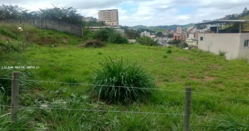 Terreno à venda no Nova Benfica, Juiz de Fora 