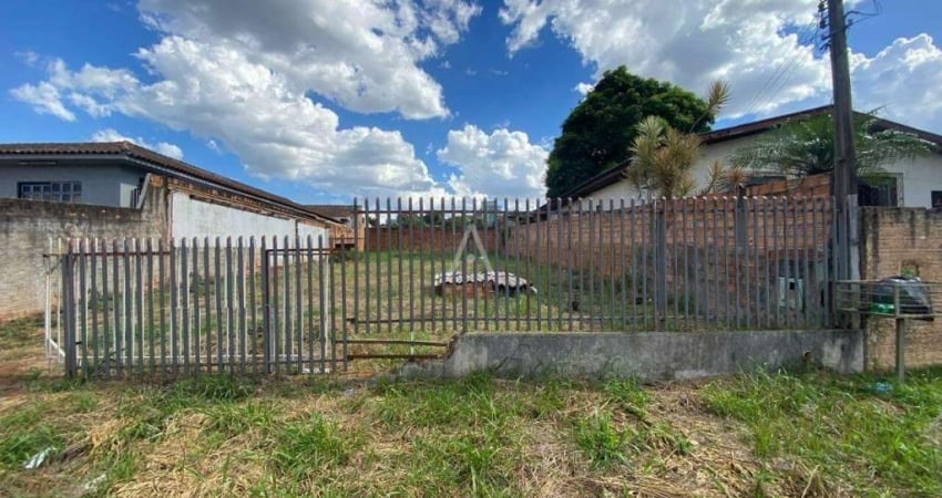 Terreno comercial para alugar na Rua Hélio Richardi, Cancelli, Cascavel