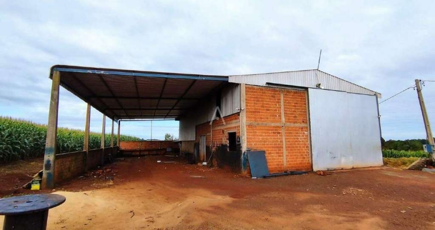 Barracão Comercial para aluguel no Bairro Bom Princípio do Oeste em TOLEDO por R$ 5.500,00