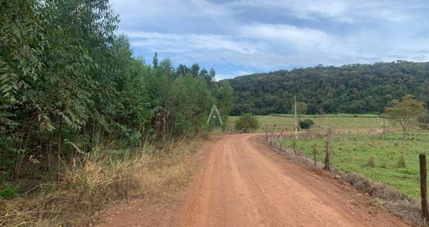 Imóveis Rurais à venda no Bairro Área Rural de Toledo em TOLEDO por R$ 440.000,00