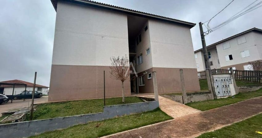 Apartamento com 2 quartos para alugar na Rua Fernando de Noronha, Floresta, Cascavel
