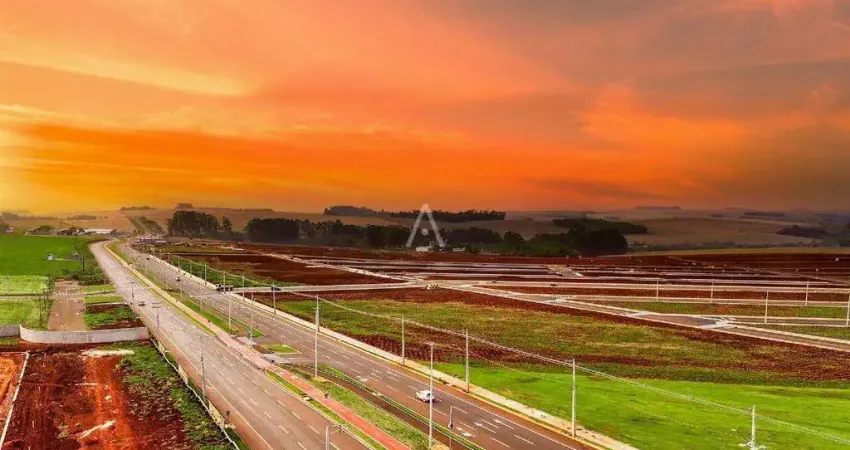 Terreno à venda no loteamento bella vita em cascavel por r$ 320.000,00