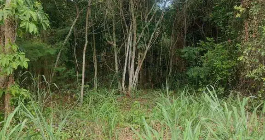 Terreno à venda, 1.060.000m² por R$ 180.000 - Caxito - Maricá/RJ