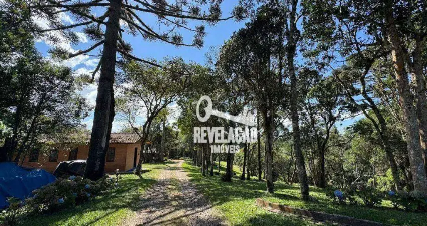 Chácara com 3 dormitórios à venda, 205160 m² por R$ 8.000.000,00 - Guarituba - Piraquara/PR