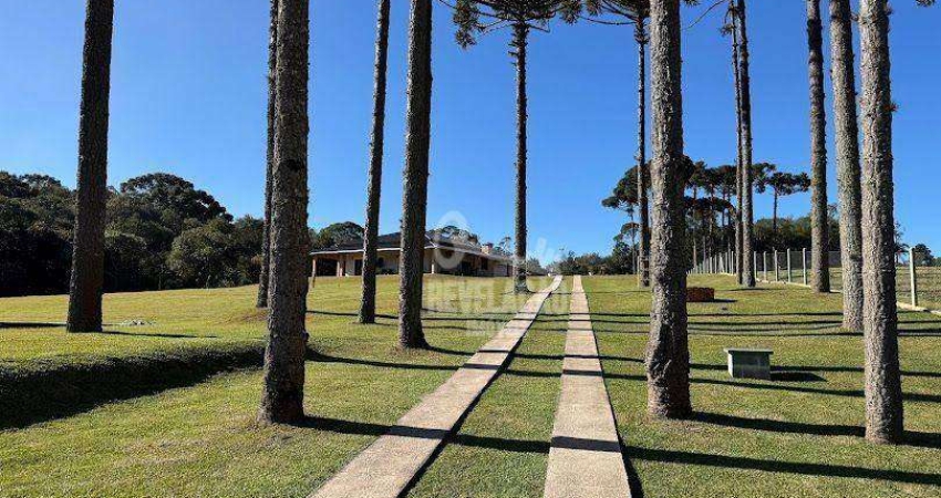 Chácara / sítio com 2 quartos à venda no Ribeirão Grande, Agudos do Sul 