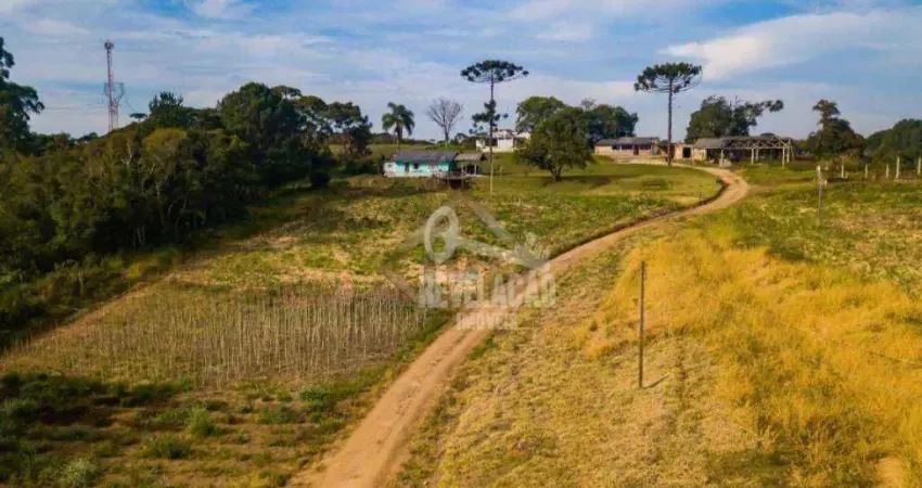 Área à venda, 84000 m² frente para br 376- miringuava - são josé dos pinhais/pr