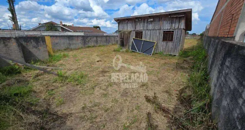 Terreno à venda, 1000 m² por r$ 1.800.000 - braga - são josé dos pinhais/pr