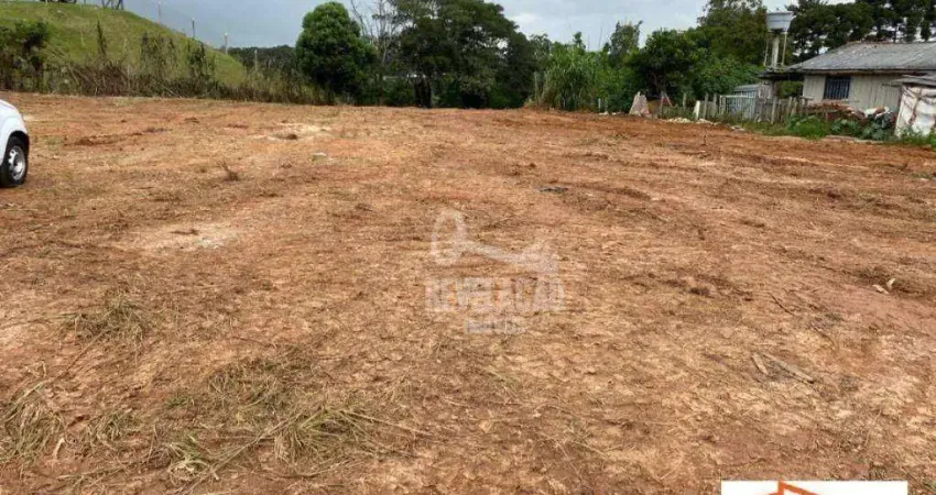 Área à venda, 2000 m², zoneamento industrial - são josé dos pinhais