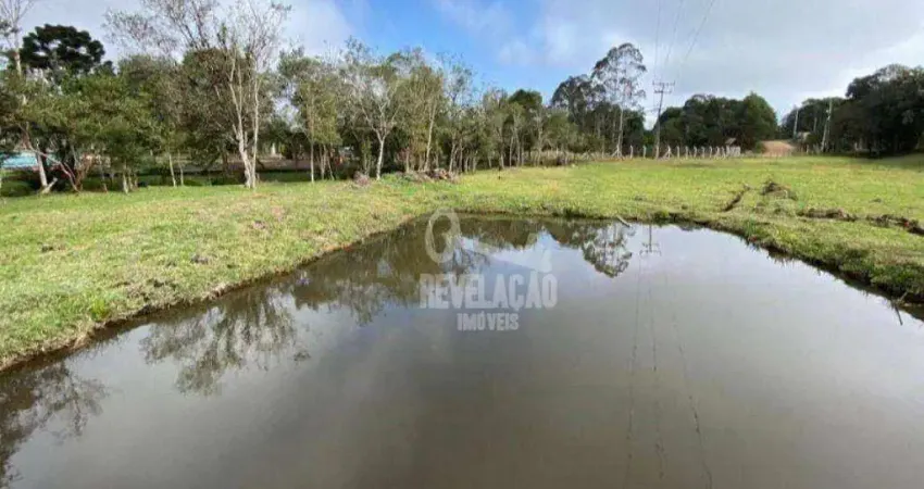 Chácara com bosque e tanque de peixes 10000 m² por r$ 510.000 - tabatinga - tijucas do sul/pr