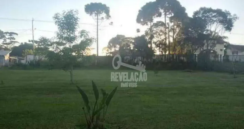 Chácara com com 3.000 m² à venda, por r$ 600.000 - campo largo da roseira - são josé dos pinhais/pr