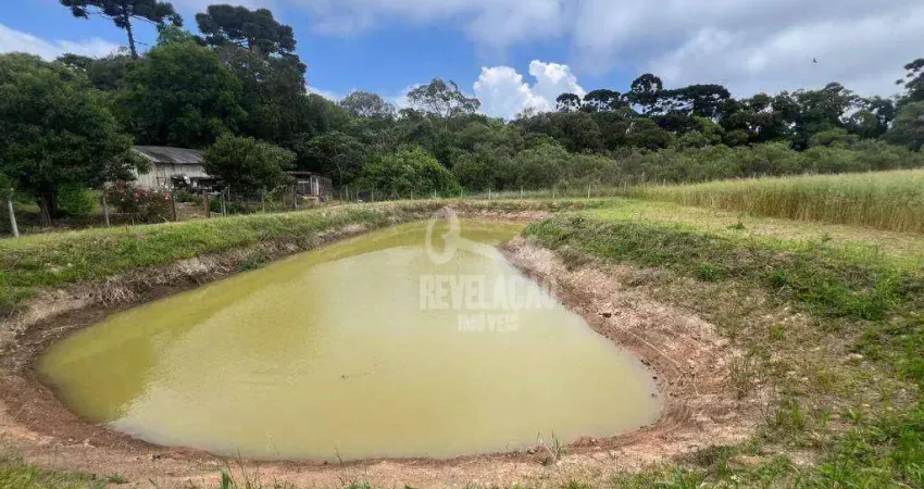 Chácara / sítio com 1 quarto à venda na Zona Rural, São José dos Pinhais