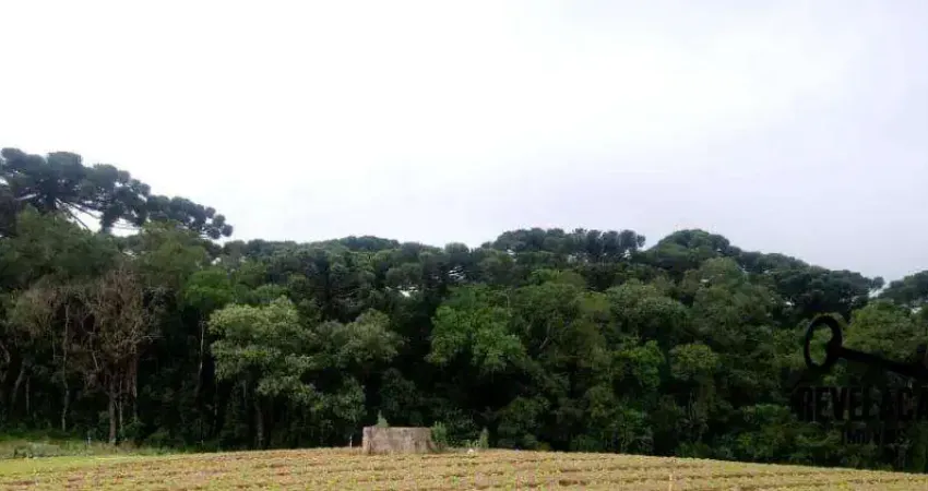 Chácara com 1 dormitório à venda, 40005 m² por R$ 1.850.000,00 - Campina Do Taquaral - São José dos Pinhais/PR