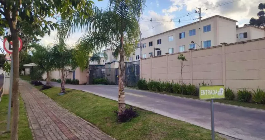 Apartamento com 2 quartos à venda na Rua José Gomes de Almeida, 80, Colônia Rio Grande, São José dos Pinhais