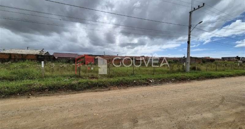 Terreno à venda na Vila Nova, Barra Velha 