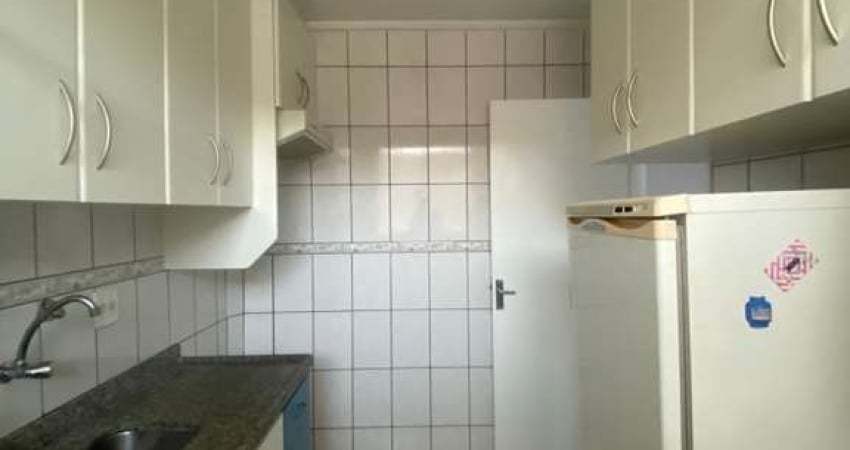 Apartamento Padrão, Jardim Paulista, Ribeirão Preto - SP