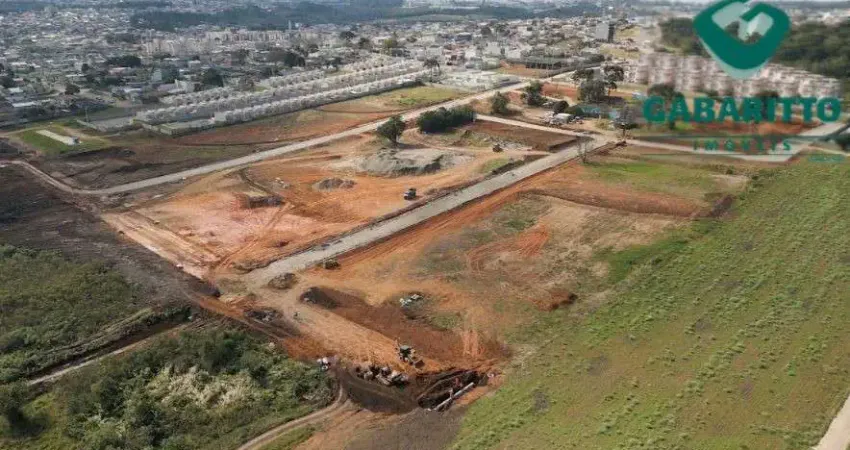 Excelente oportunidade de loteamento em Araucária - MATSU